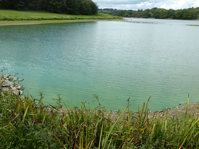 Giving Cyanobacteria Their Due