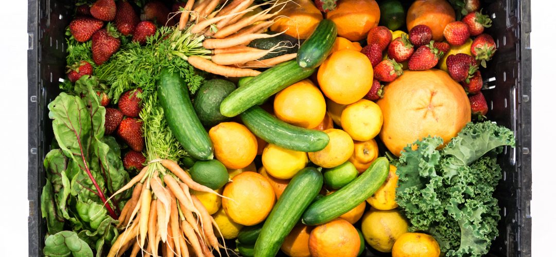 The Daily Dose: Japan declares gene edited food safe; WHO calls for CRISPR registry