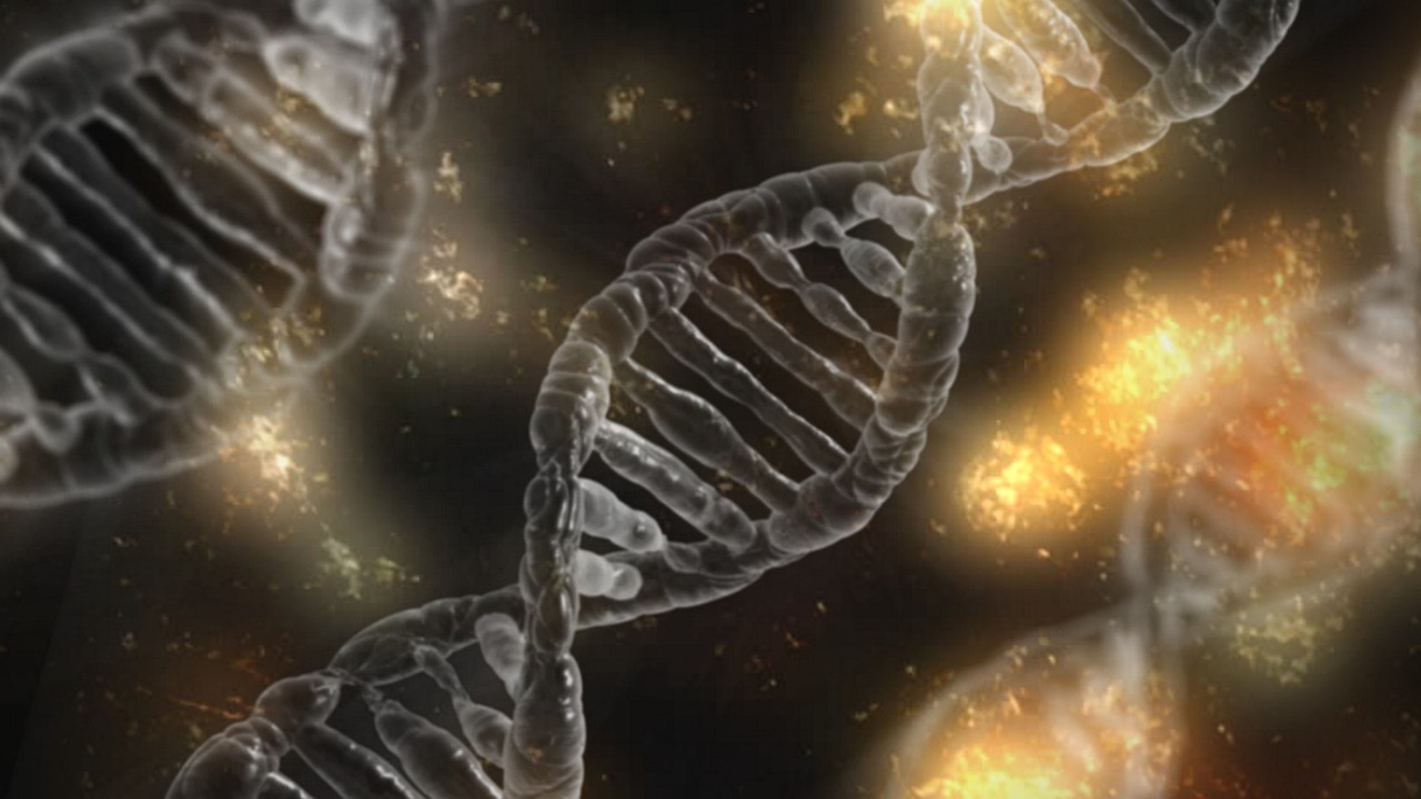 Gene variants may affect length of survival in Parkinson’s patients, new study shows.