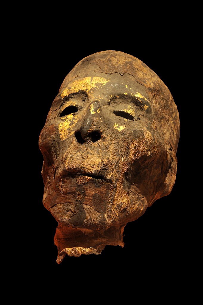 Genetic study of Egyptian mummies indicate close relation to Near East