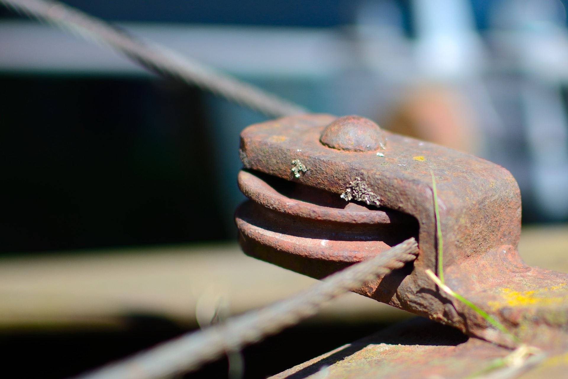 When rust falls from a tree