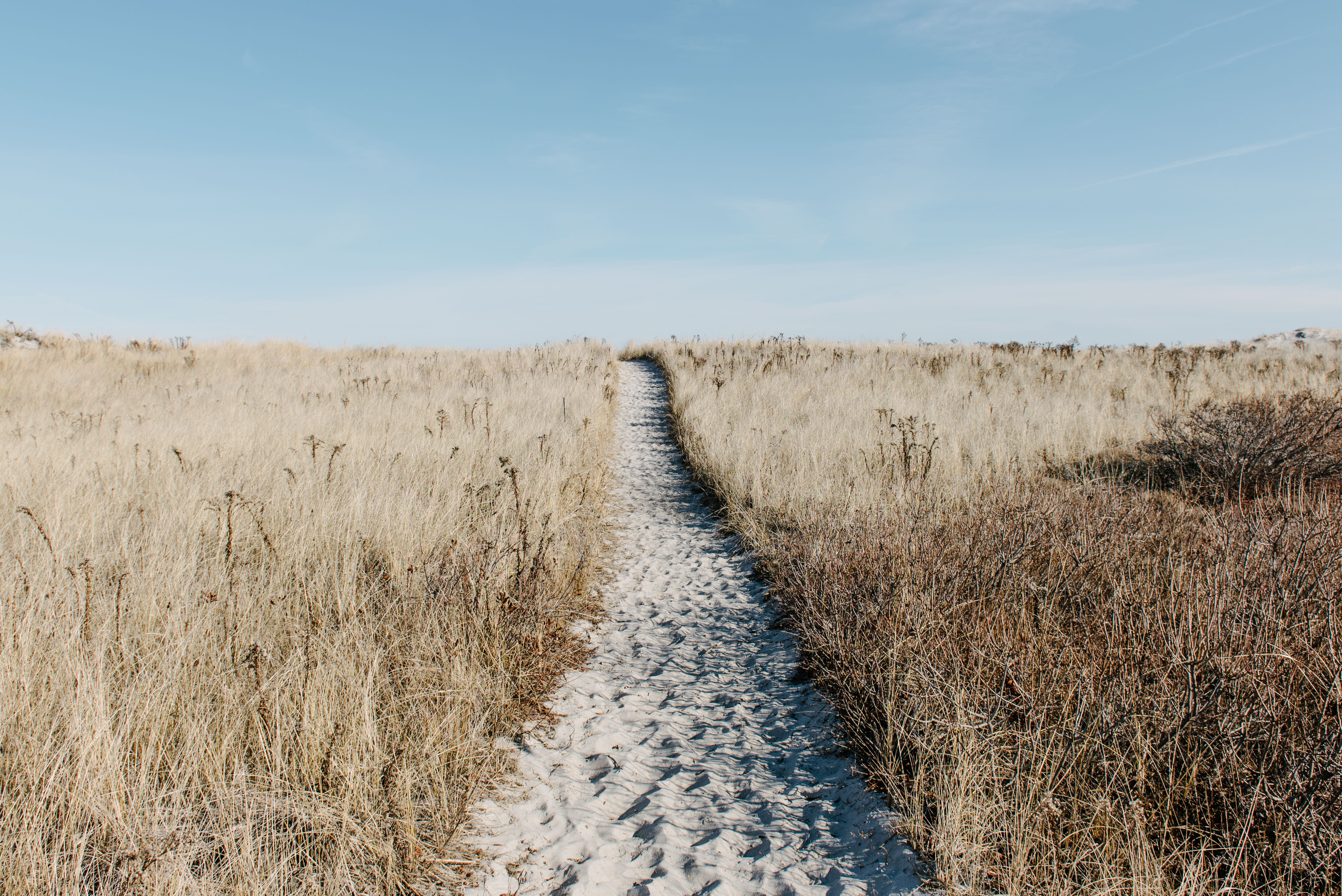 New ecology model looks to keep it simple 