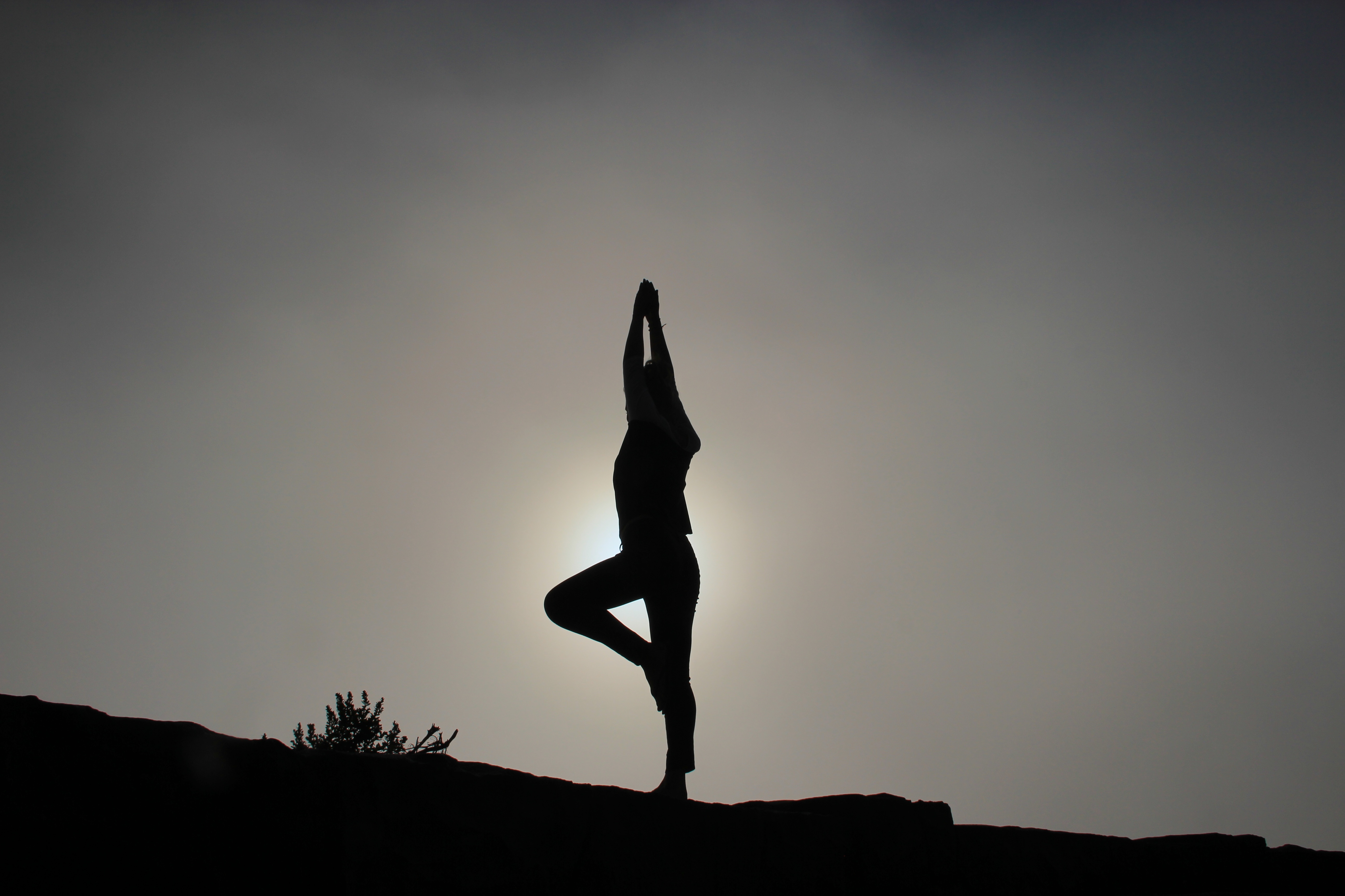 Study indicates meditation and yoga can reverse DNA damage