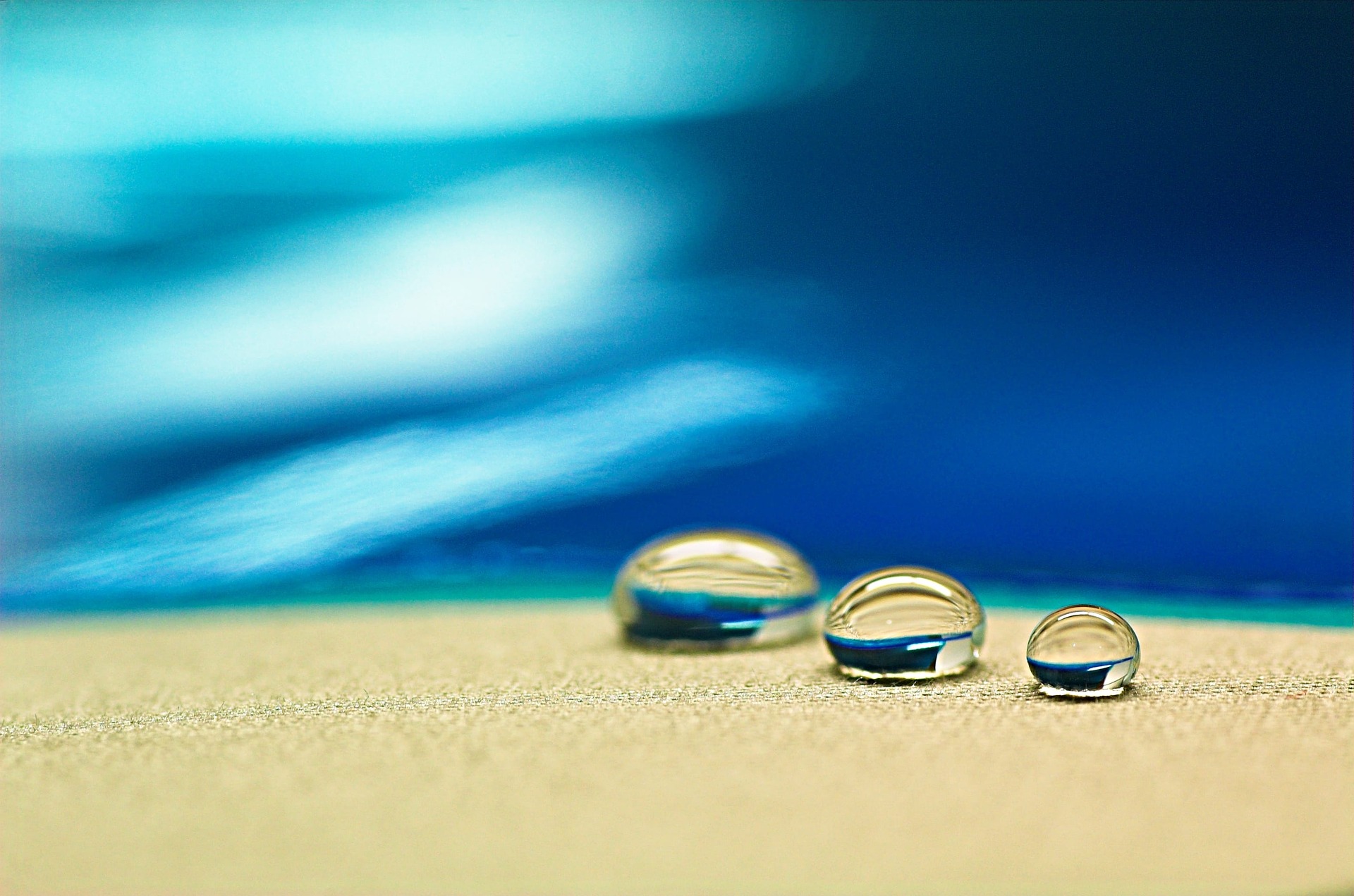 Expect more plant diseases, longer droughts, and blighted crops thanks to climate change