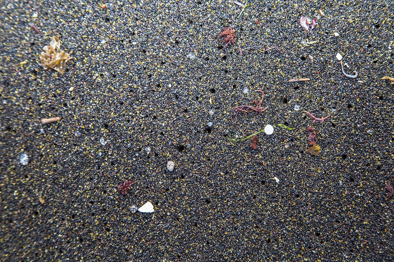 Microplastics continue to be the Ocean’s plague