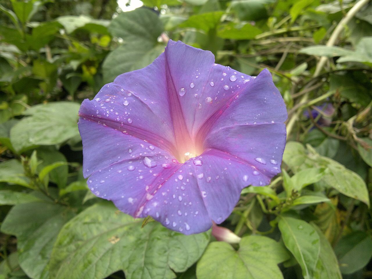 Who needs crayons when you have CRISPR?