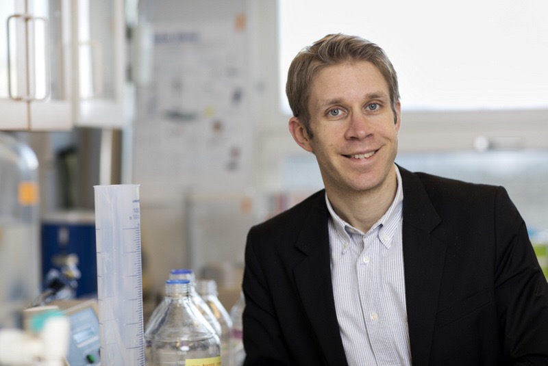 Conversations with Anders Rosengren: On broccoli’s antidiabetic potential