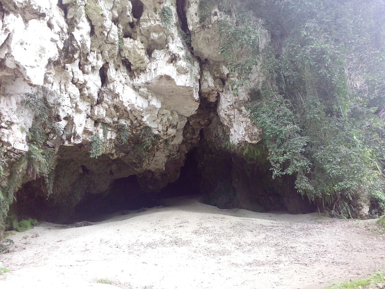 Ancient humans settled Indonesia earlier than once thought