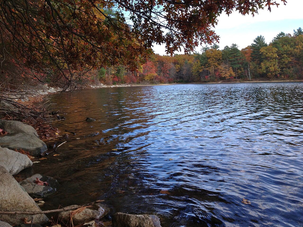 Walden Pond is being destroyed and we’re to blame