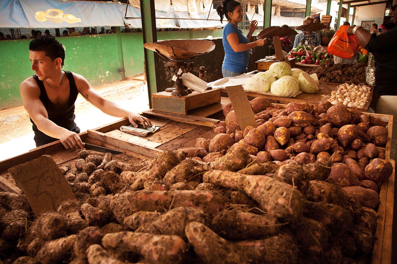 Time to recuse the sweet potato origin story
