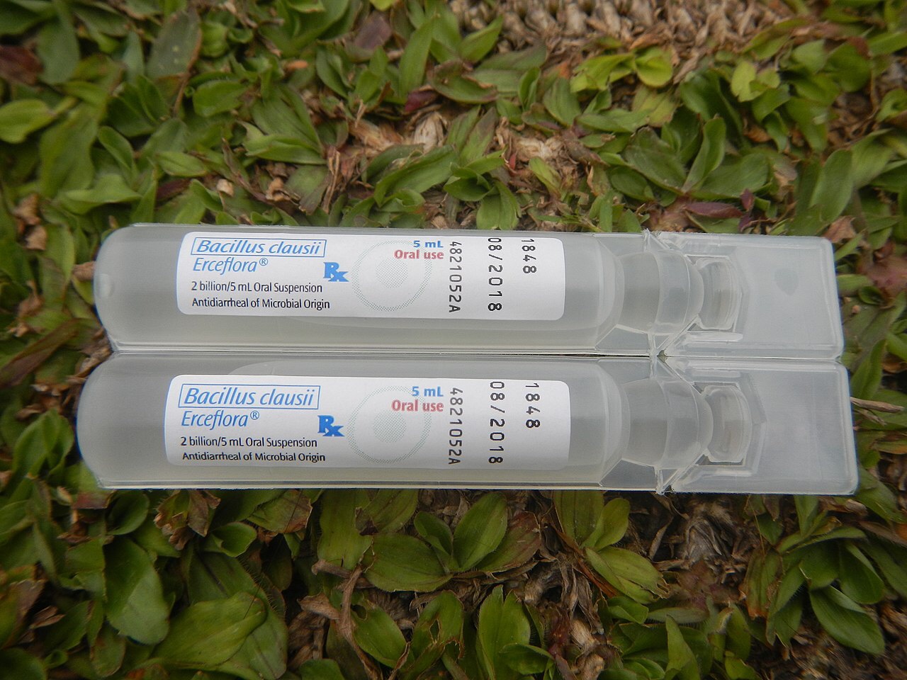 Study suggests probiotics may be useful against minor self-limiting infections