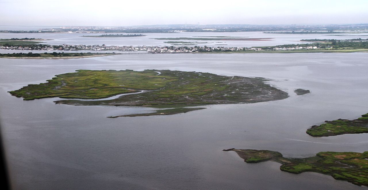 Urbanization is cutting off life support to NYC’s wetlands