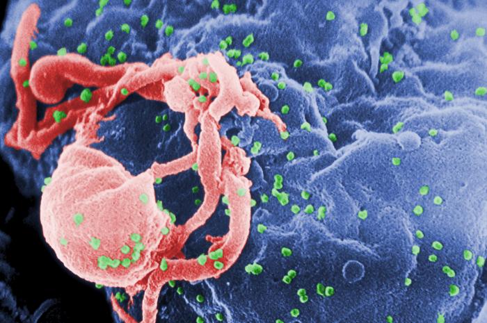 Discovery holds potential for new class of HIV drugs.