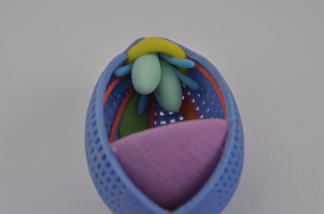 Antibodies sometimes tag team parasite proteins