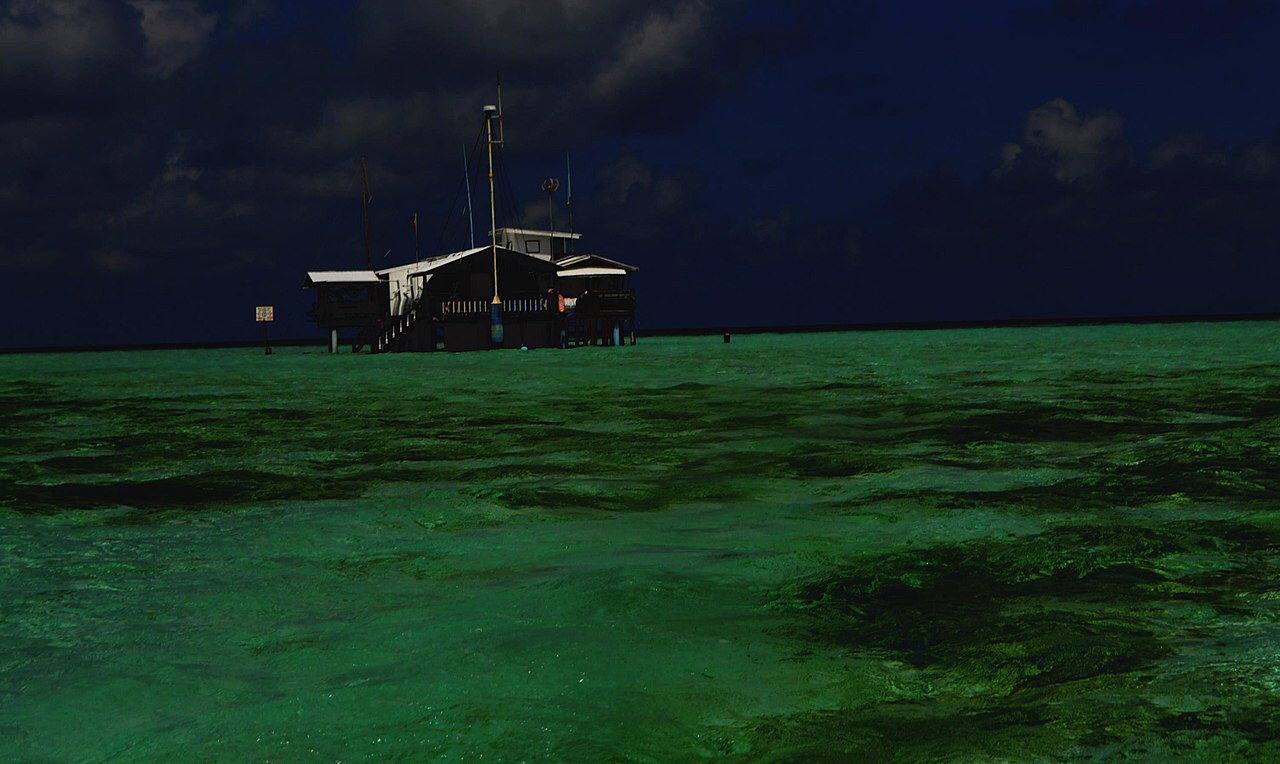 Green algae owe a debt of gratitude to bacteria