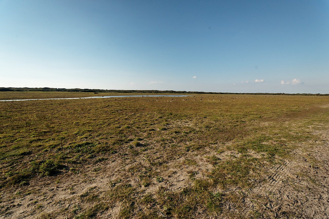 Climate change is even altering the balance of microbes in the soil