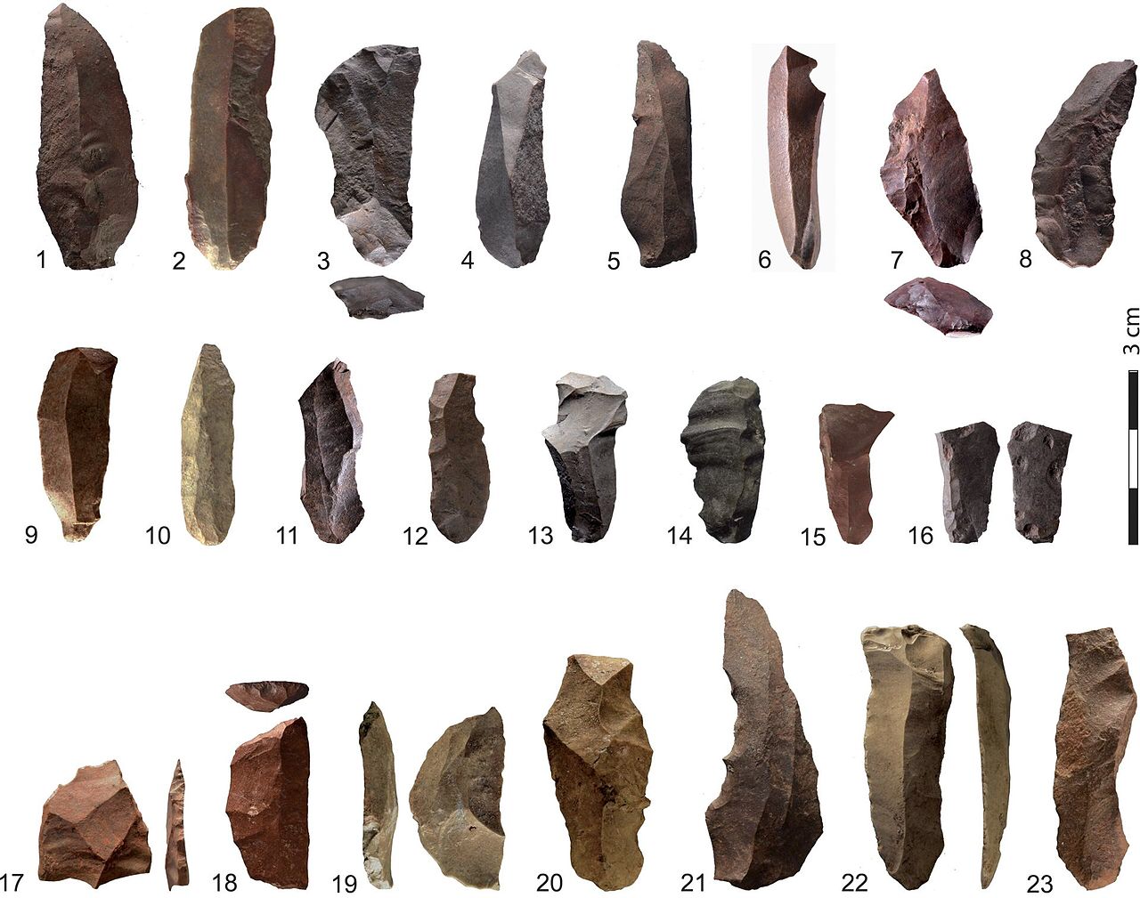 Tools linked ancient communities in South Africa