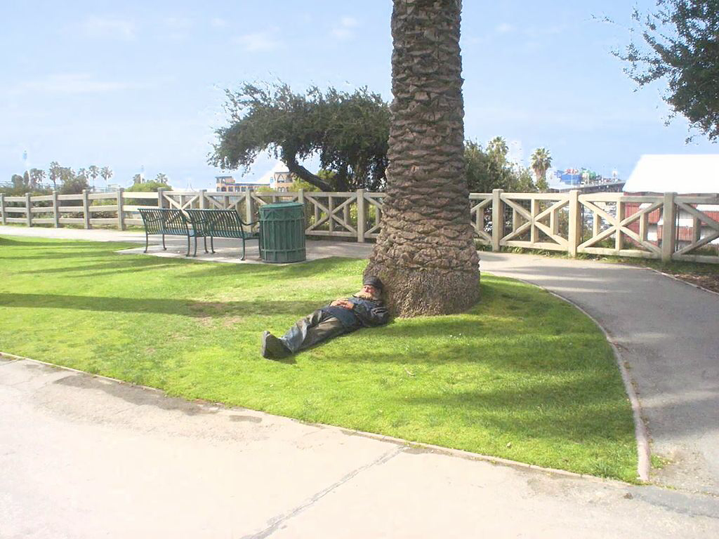 The Daily Dose: The biological effects of homelessness; A glimmer of hope for peanut allergies?