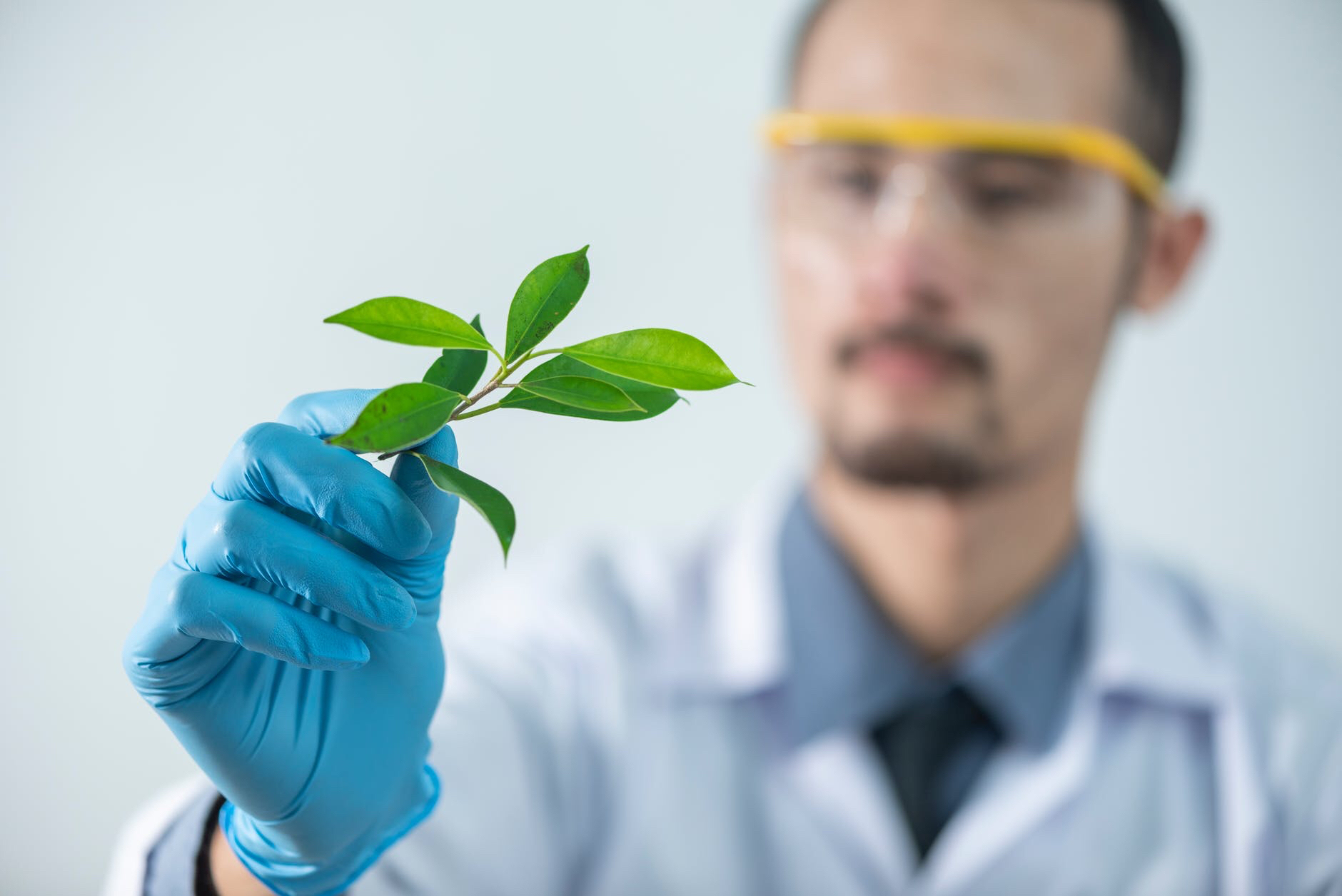 A third of cancer patients turn to alternative medicine at some point