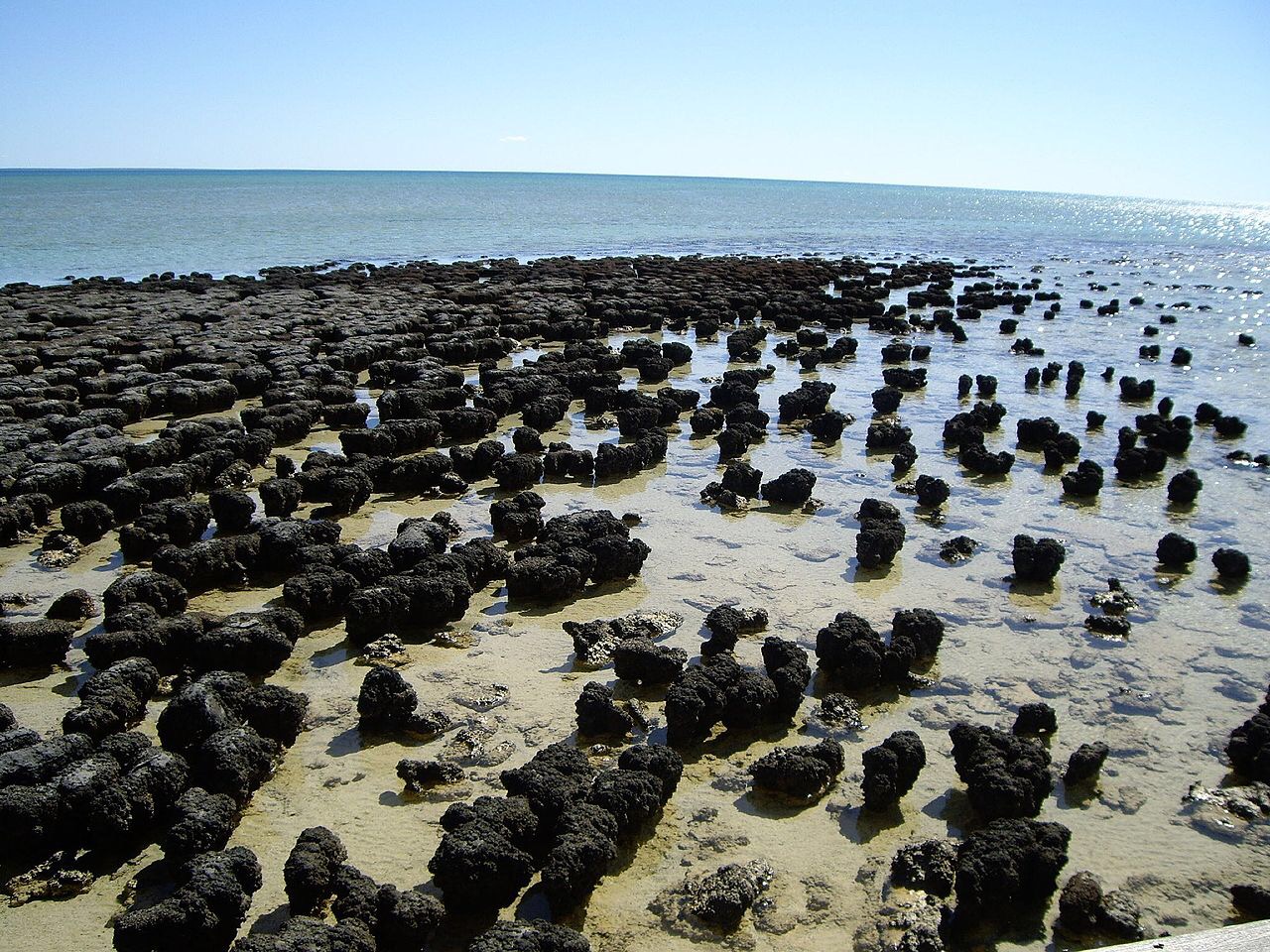 Shallow bodies of water may have been key to early nitrogen