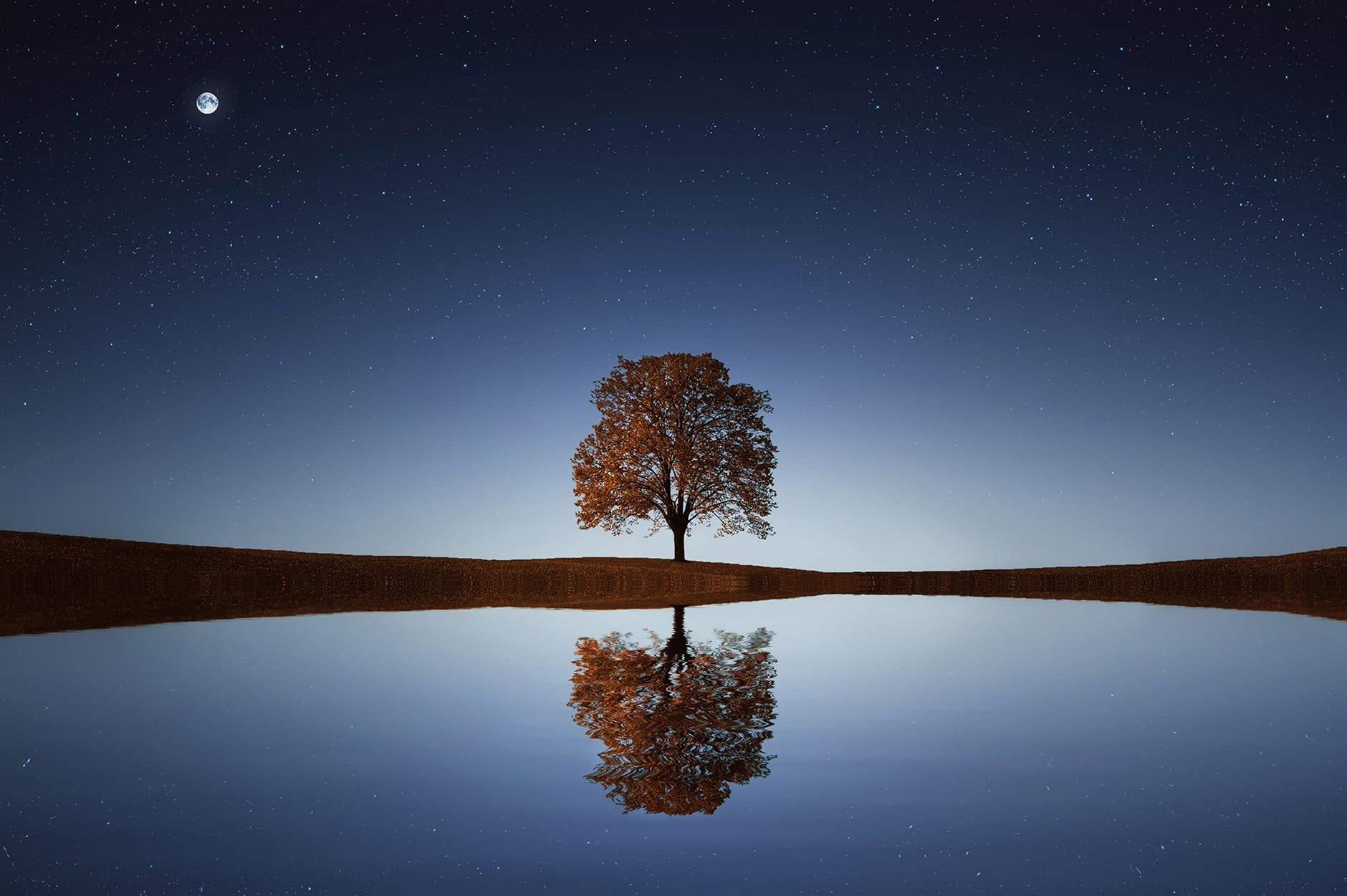 Daily Dose: According to a new study just looking at trees can make you skinny