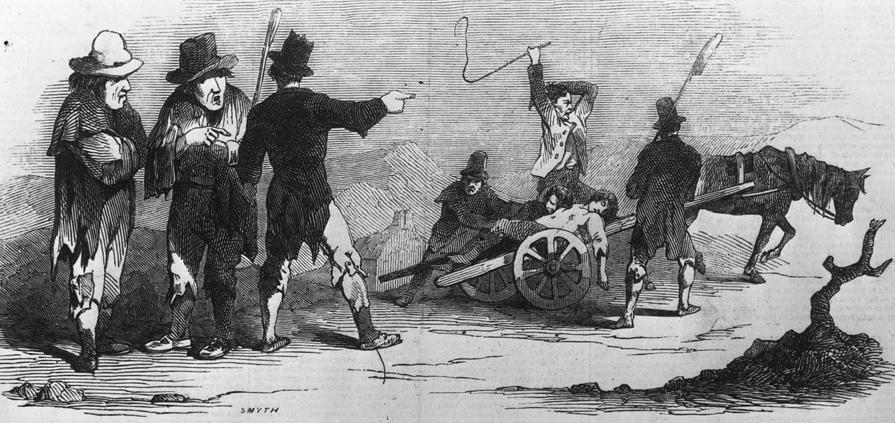Teeth reveal secrets of Irish Potato Famine