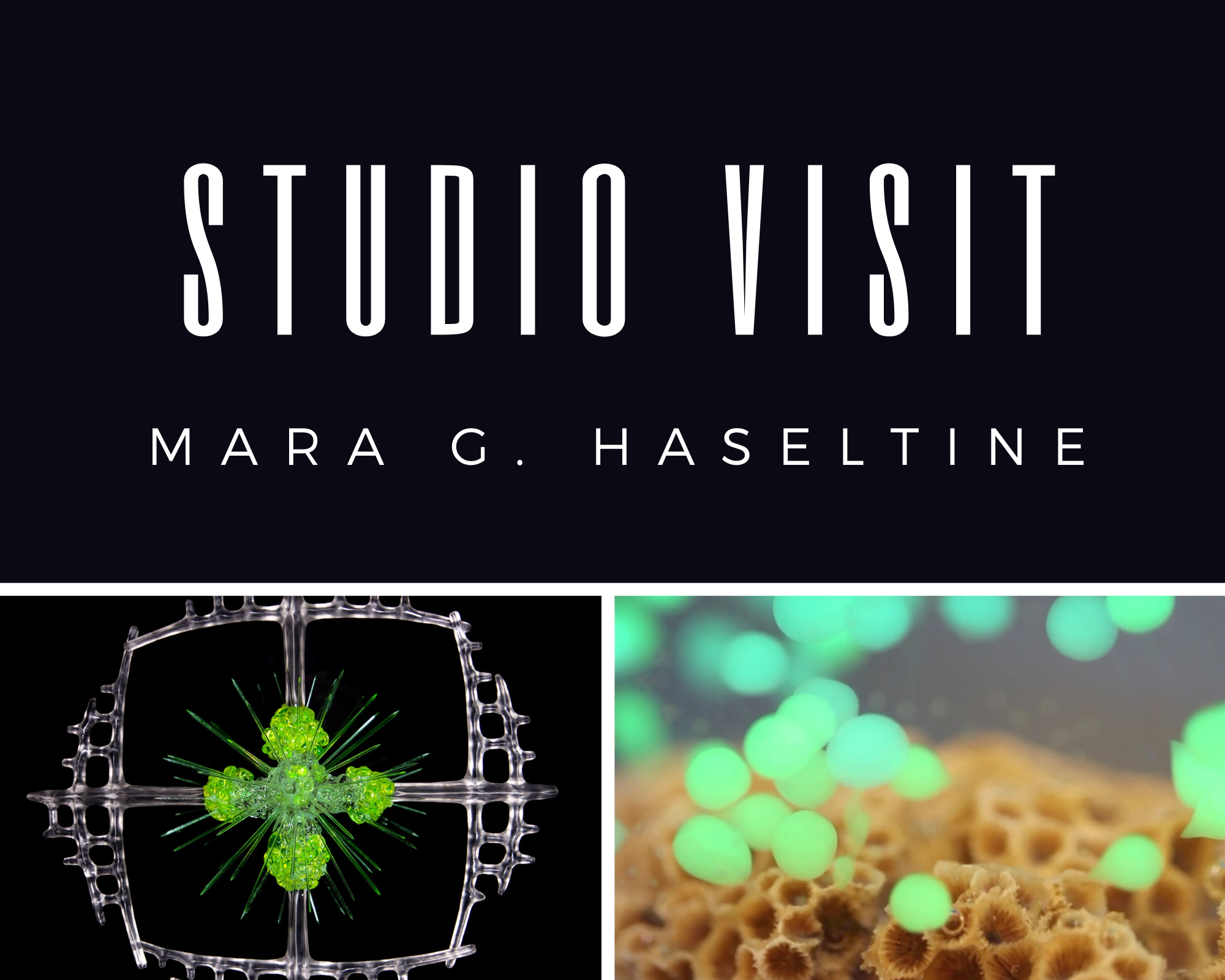 Mara G. Haseltine: Environmentally conscious art driven by form and function