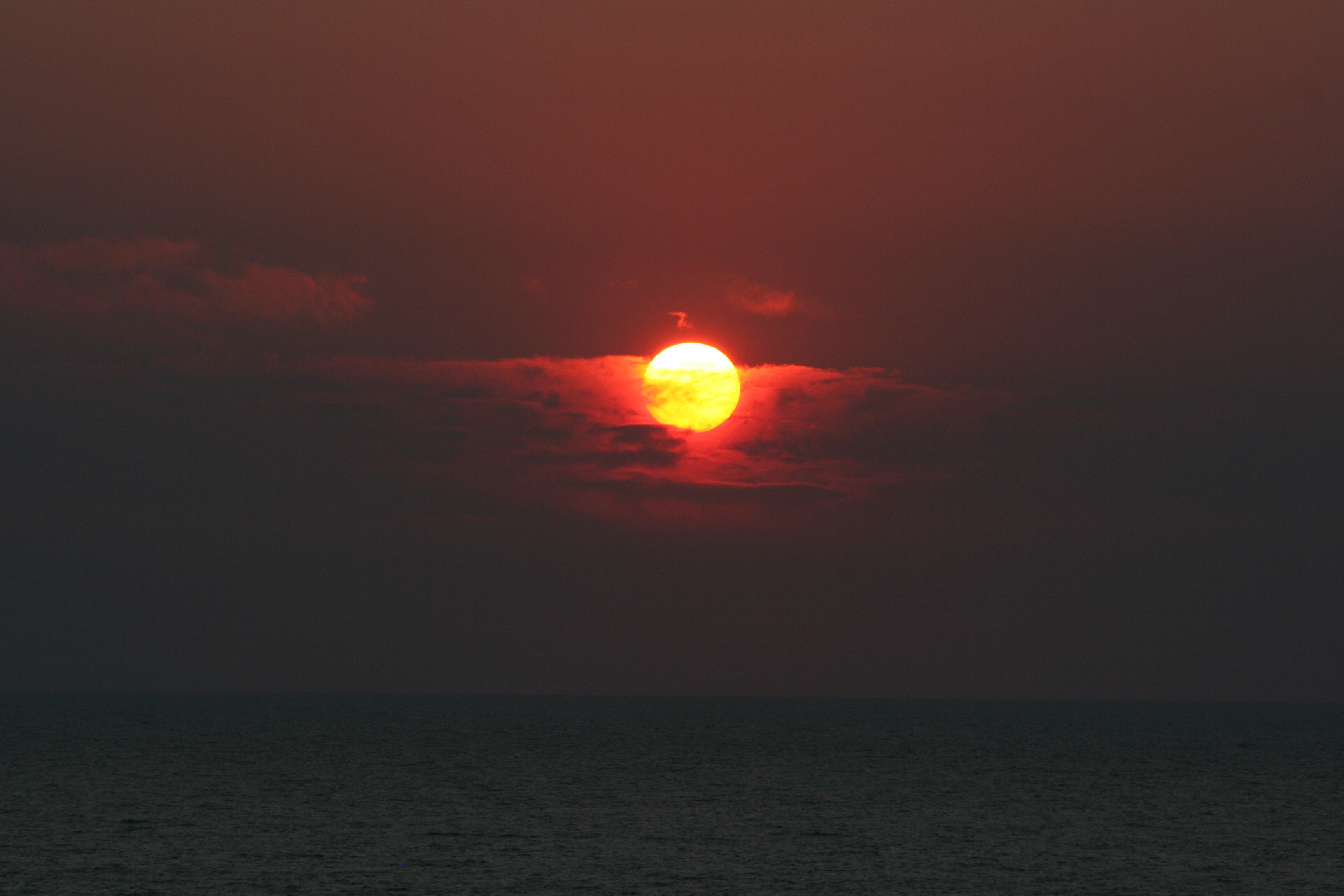 Higher temperatures in Australia may lead to increased deaths