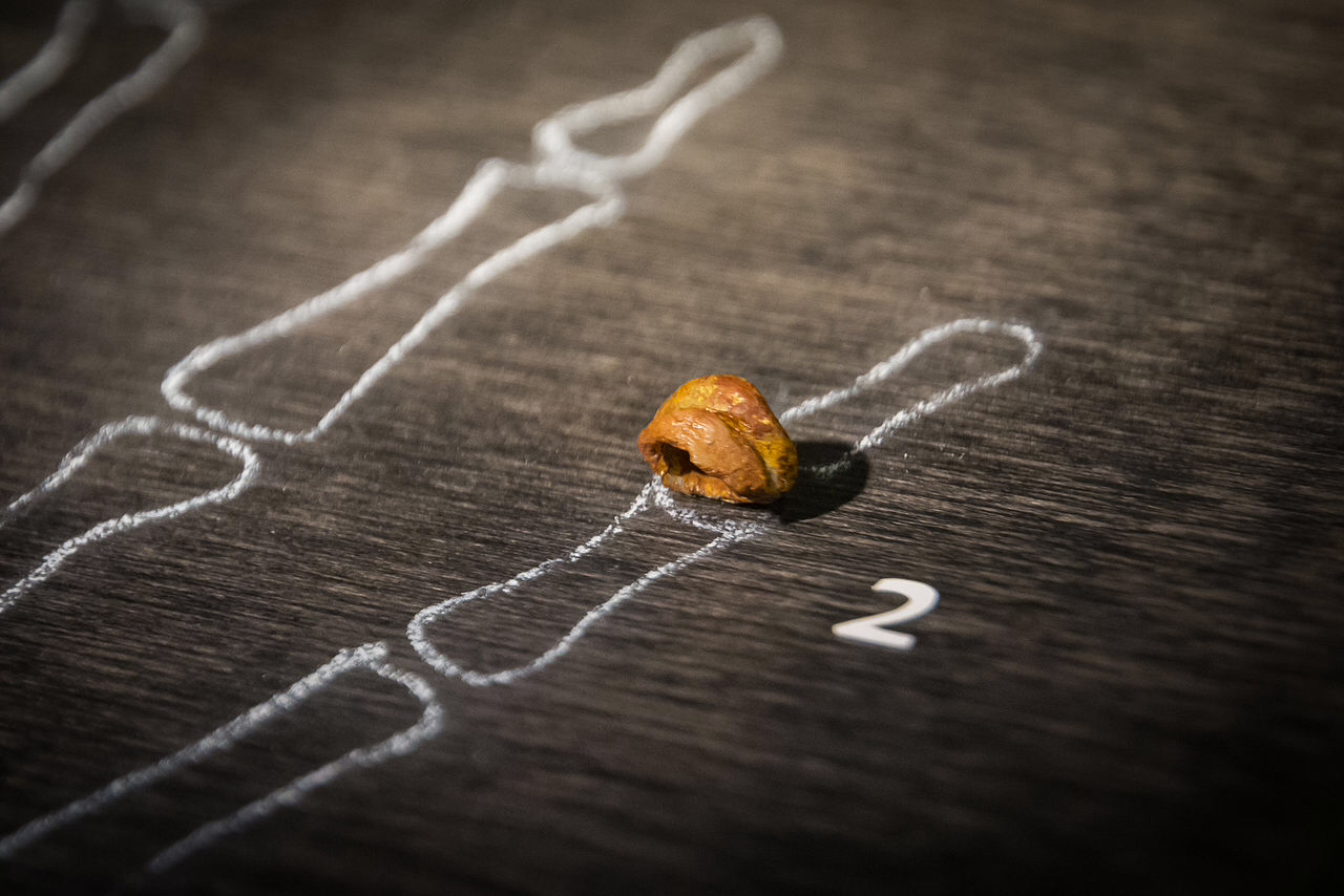 Homo sapiens and Denisovans interbred more than thought