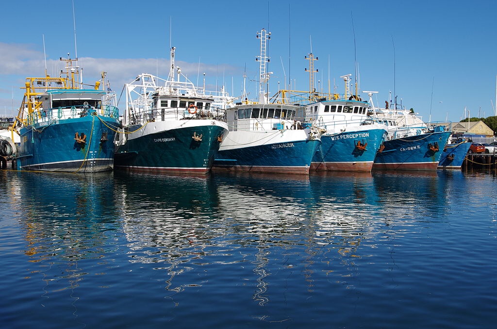 Rival fishing boats are most productive when they team up