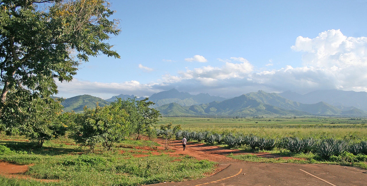 Conversations with Jason Rohr: Modern agriculture and its relationship with human diseases