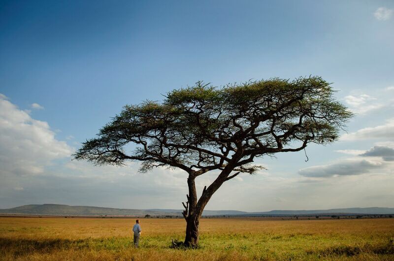 Conversations with James Estes: Keystone species interactions and The Serengeti Rules