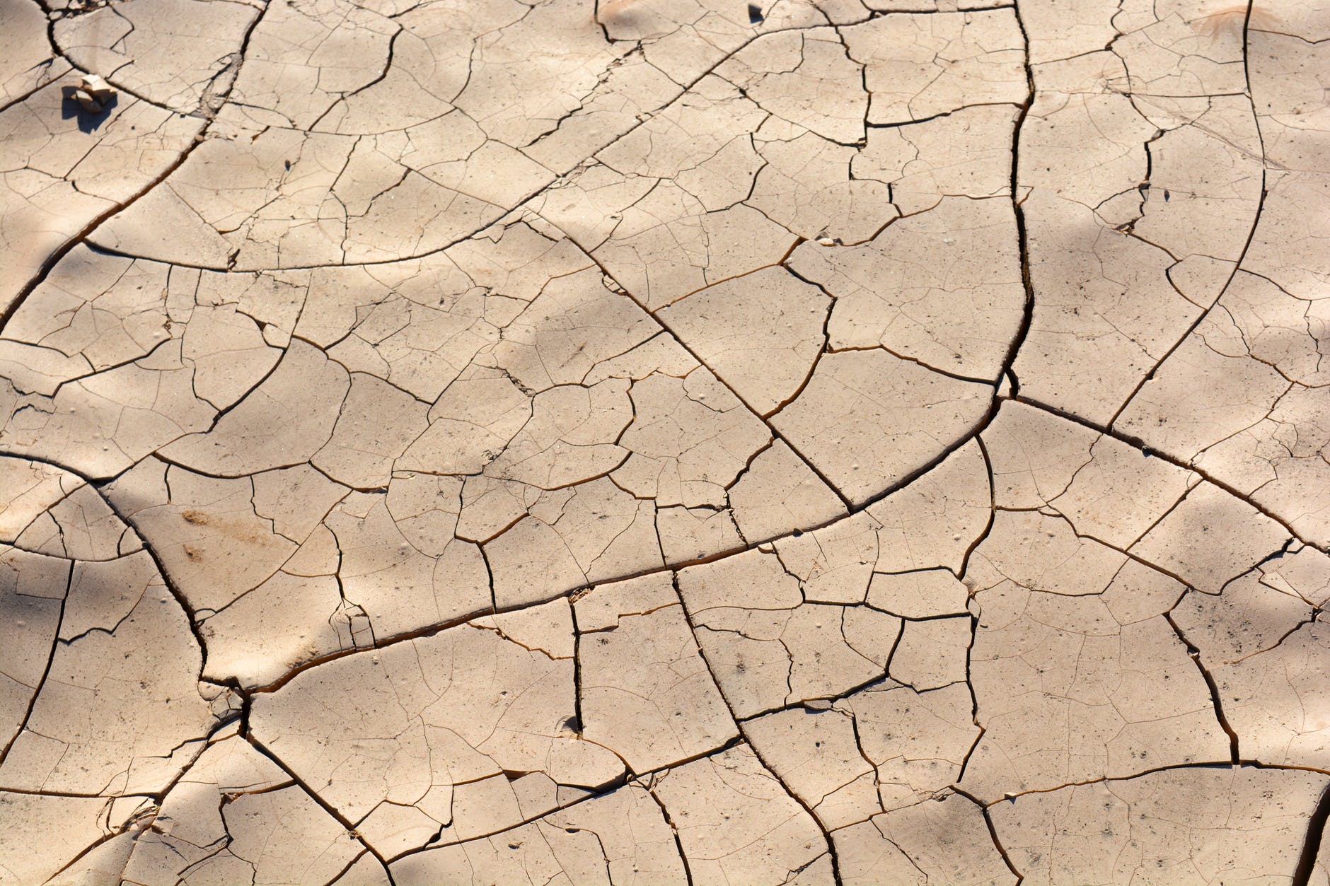An anticyclone caused severe heat in Asia in 2018