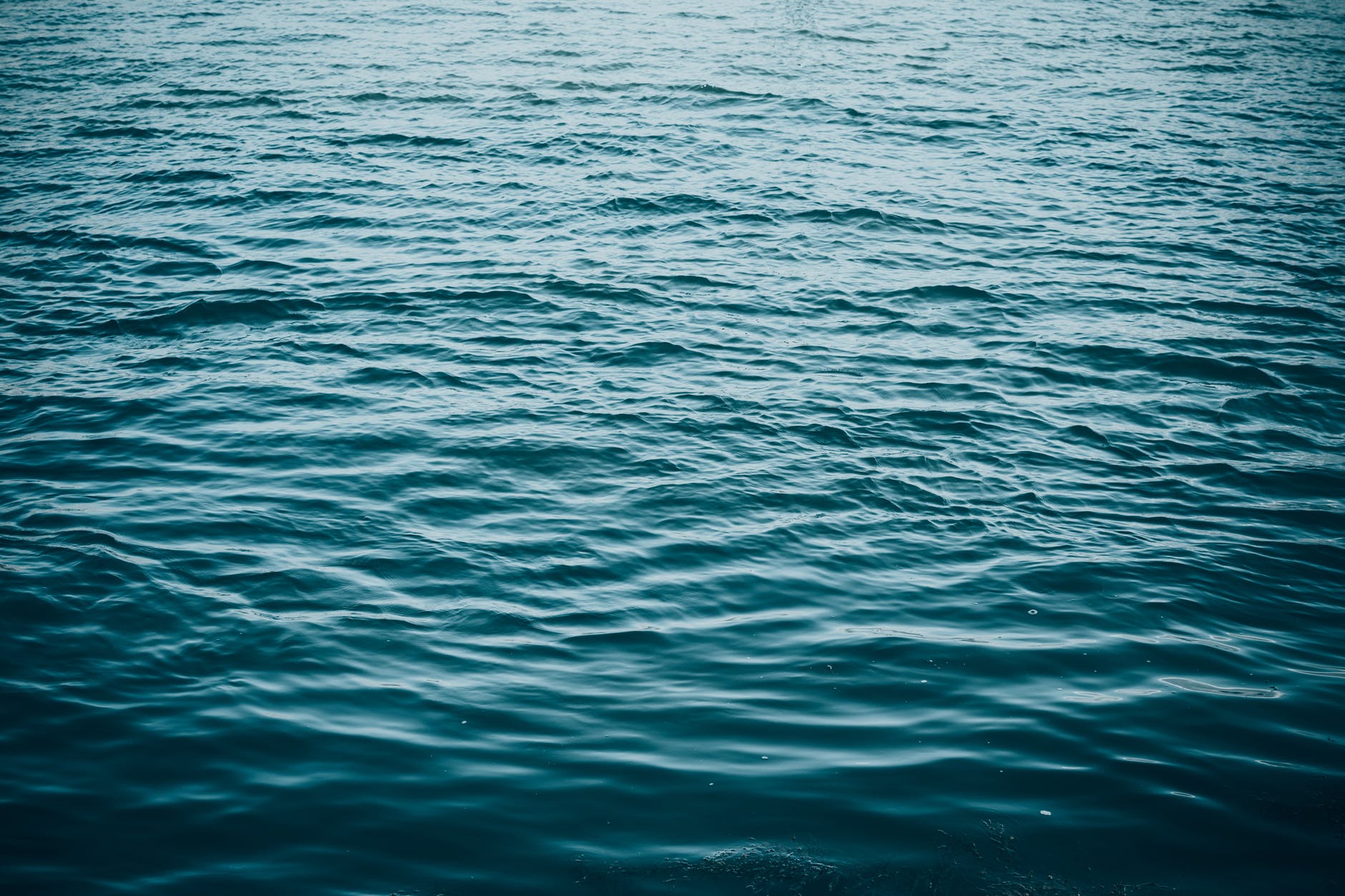 High phosphorus lakes may have played a role conversation of life