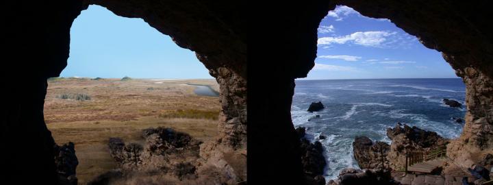 Scientists use modelling techniques to recreate a lost world and ecosystem