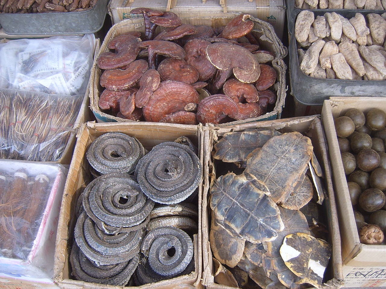 The Daily Dose: How the World Health Organization squares the circle of promoting Traditional Chinese Medicine use against COVID-19