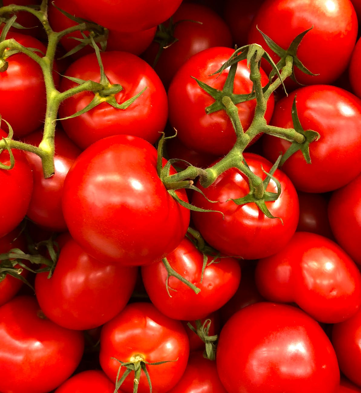 Tomatoes should go in the fridge… right?