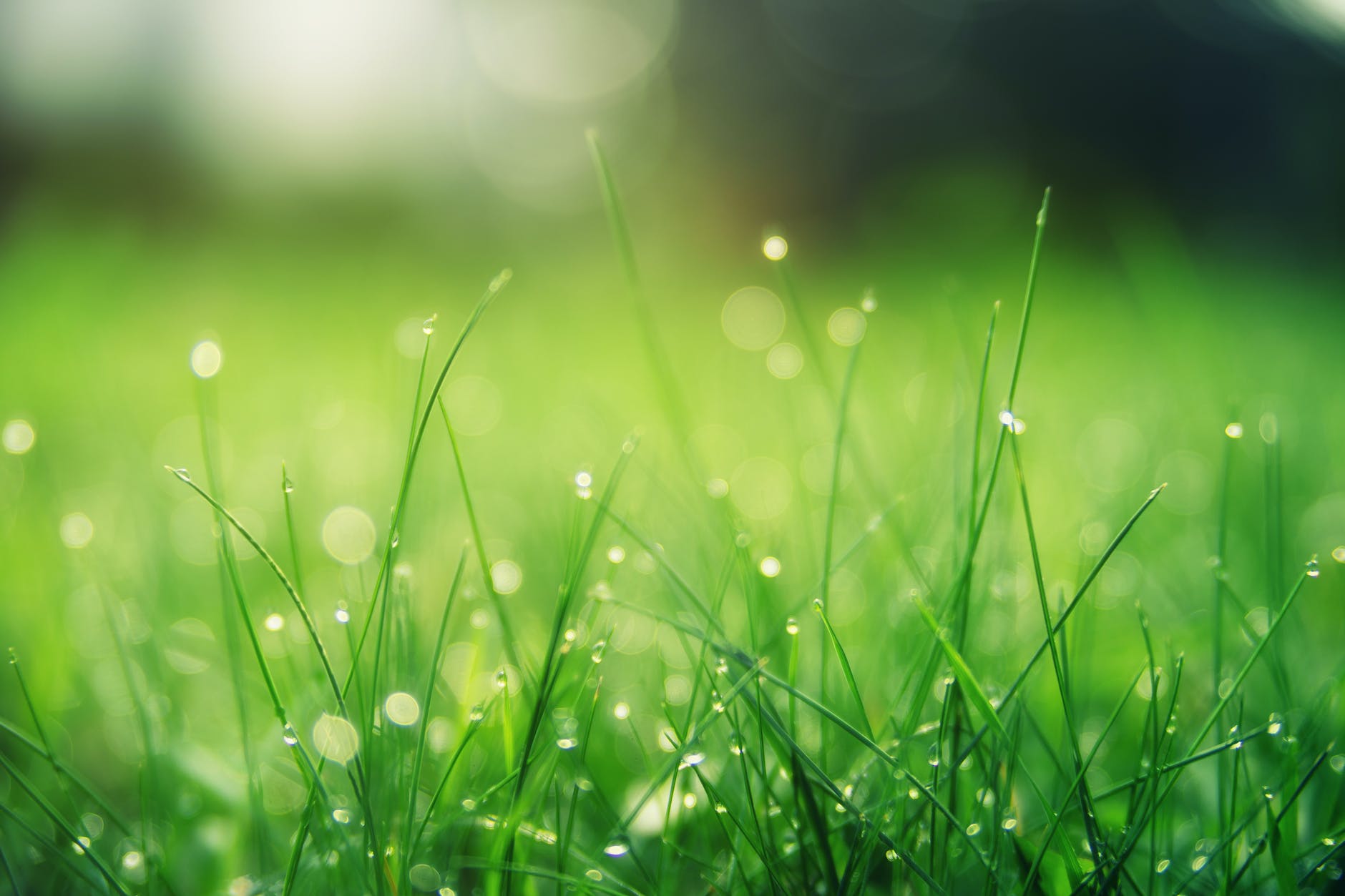 Spring Ramadan make pollen allergies worse
