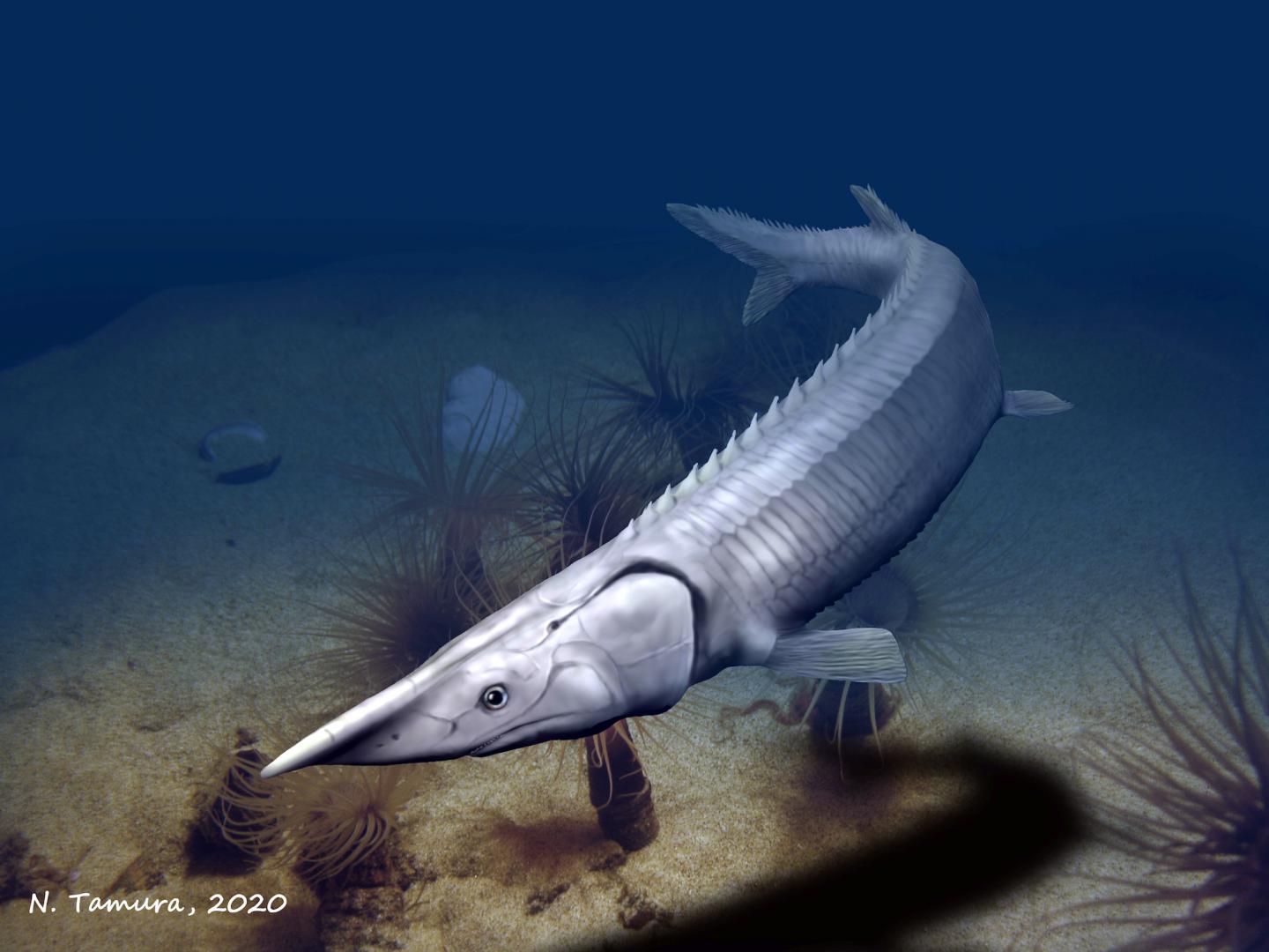 Sturgeon’s distant ancestor is pretty scary looking