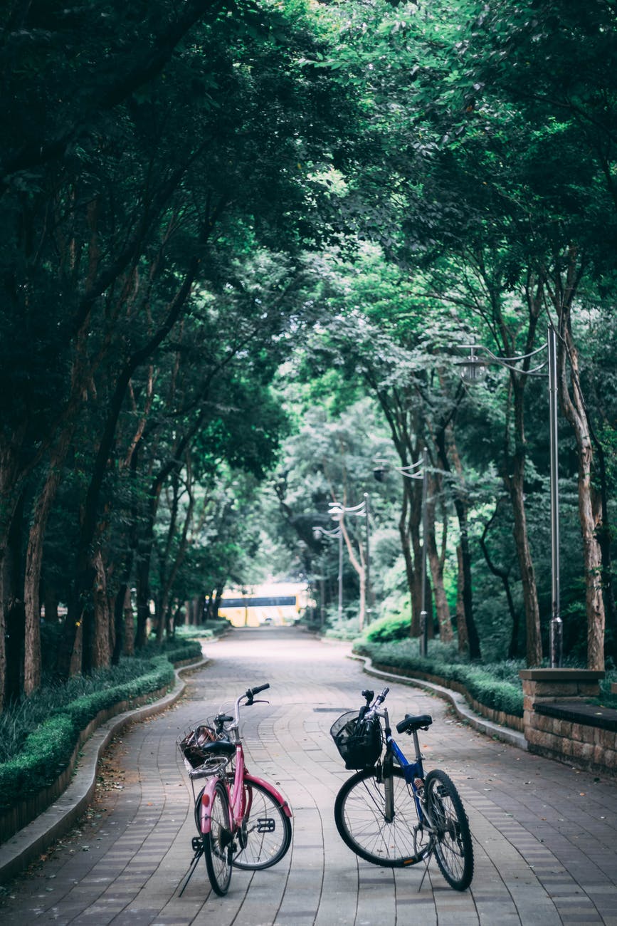 Access to green spaces vary by race and income