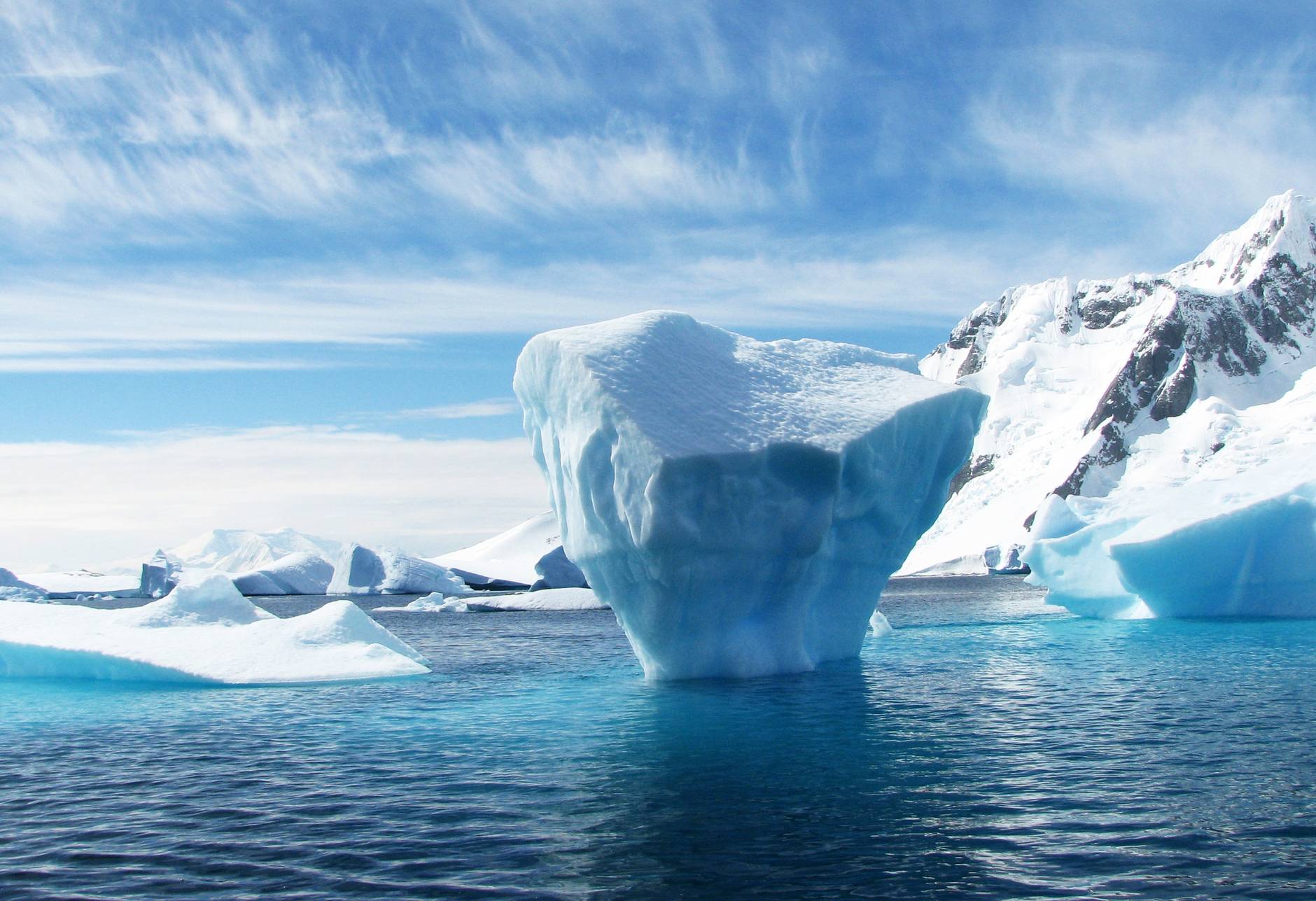 Think Antarctica has been spared from human impact? Think again.