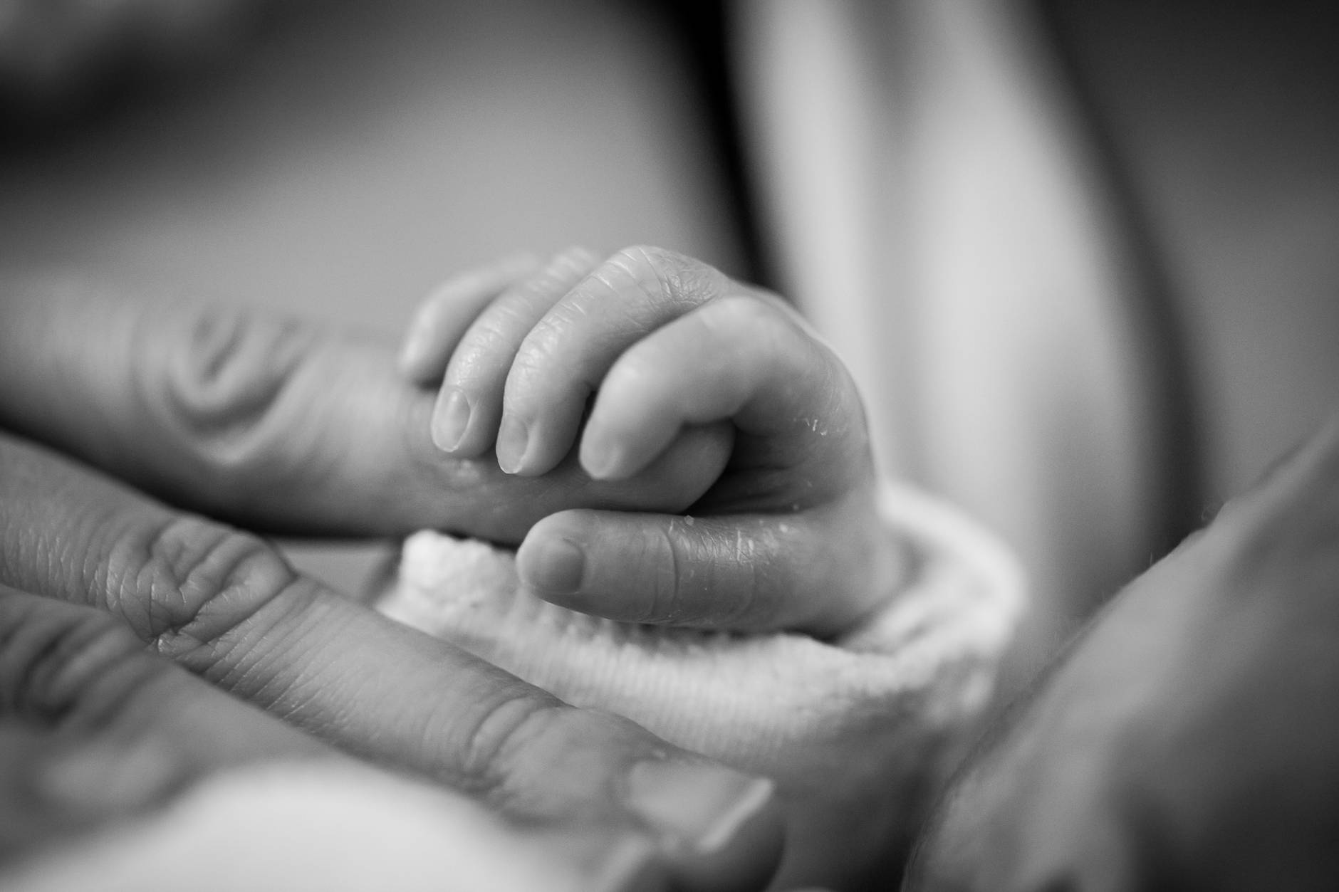New catalogs revision of Australian birth weight charts