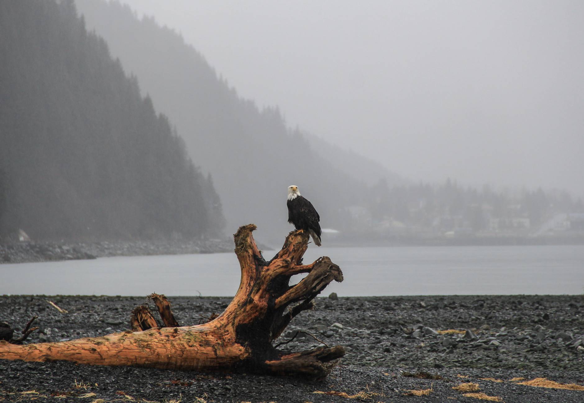 It’s raining more in Alaska, and that’s bad