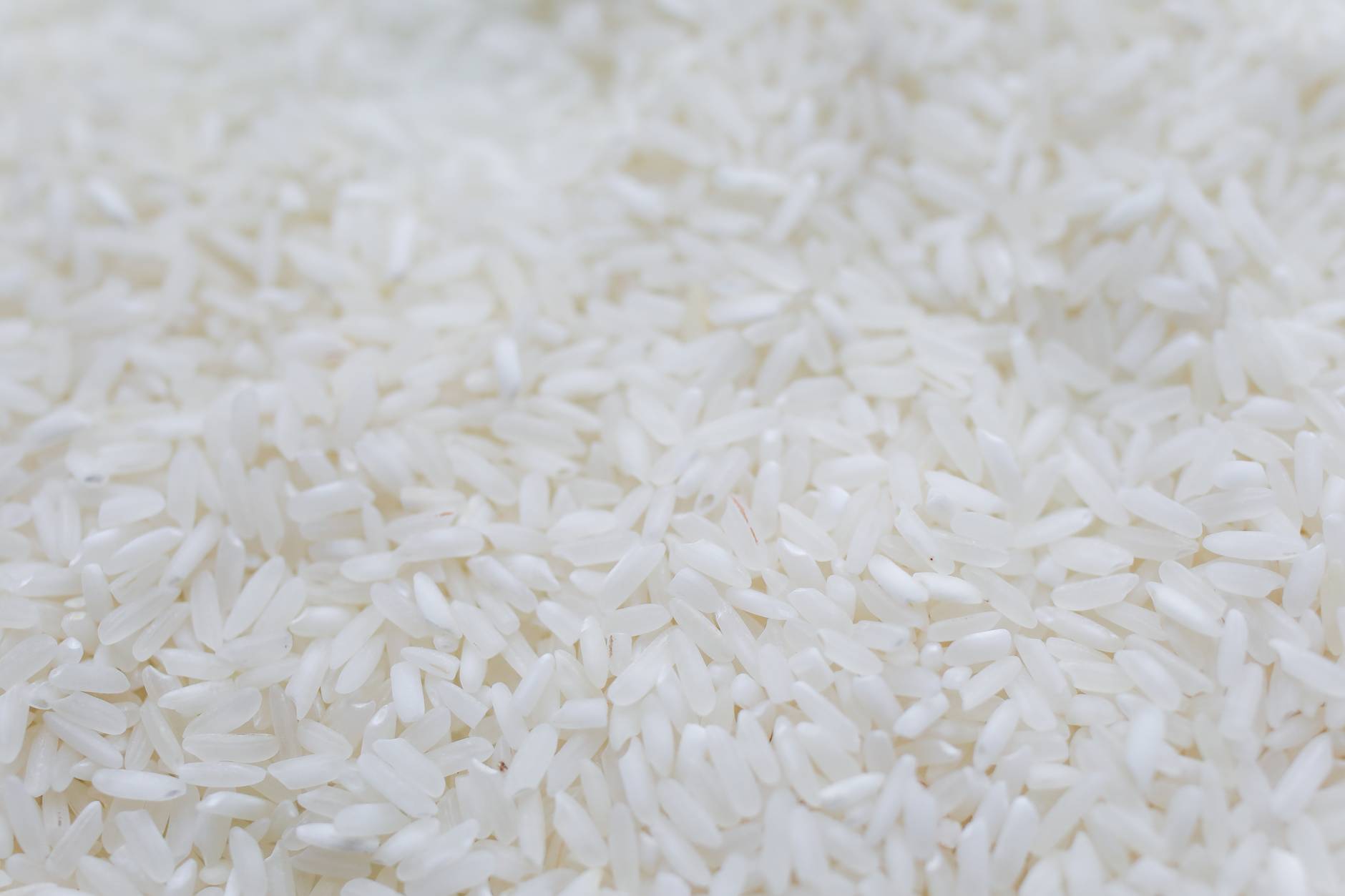 Nutritional benefits of rice and sugar in good programs