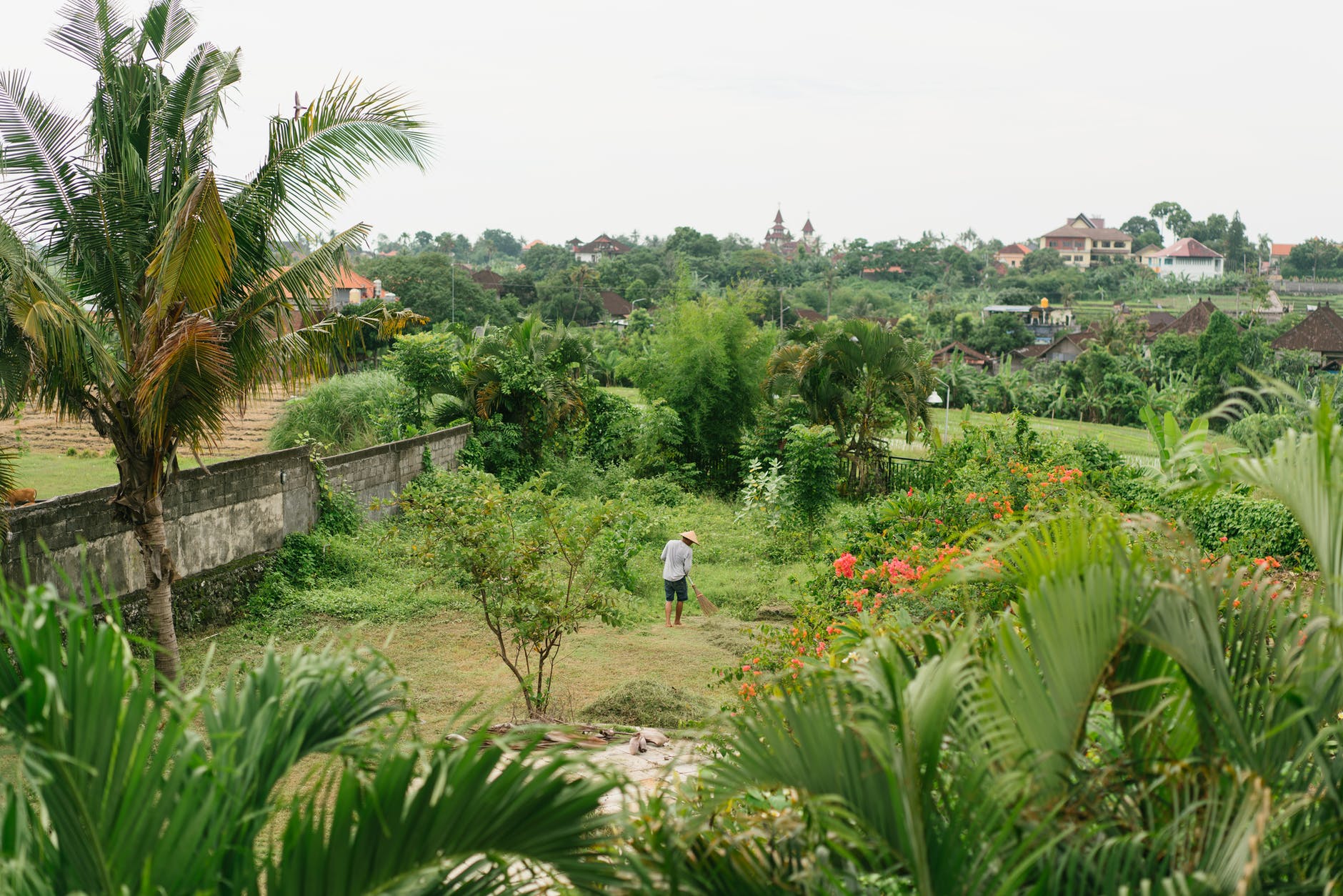 In 50 years, it may be too hot for some tropical plants to germinate