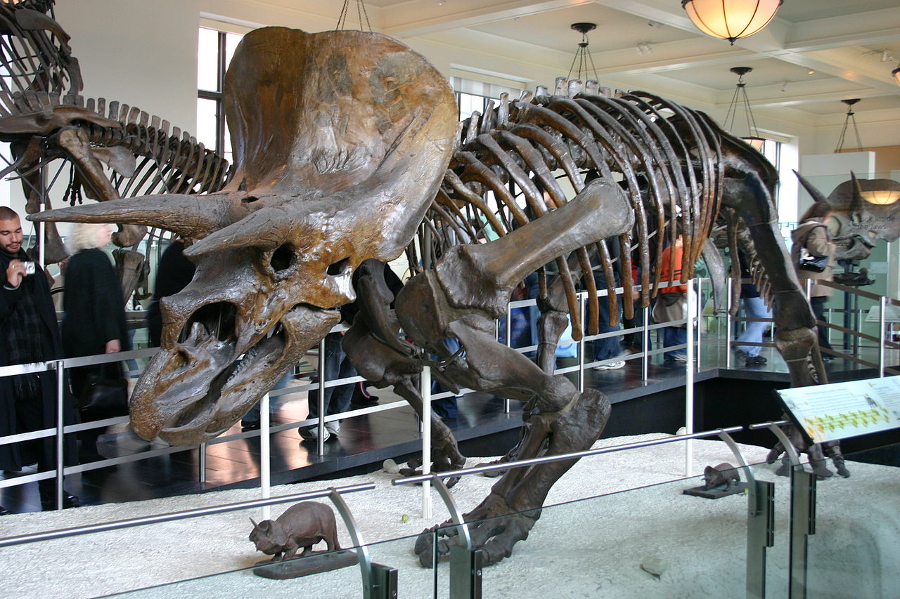 New research reverts dinosaur evolution theories back to classical models