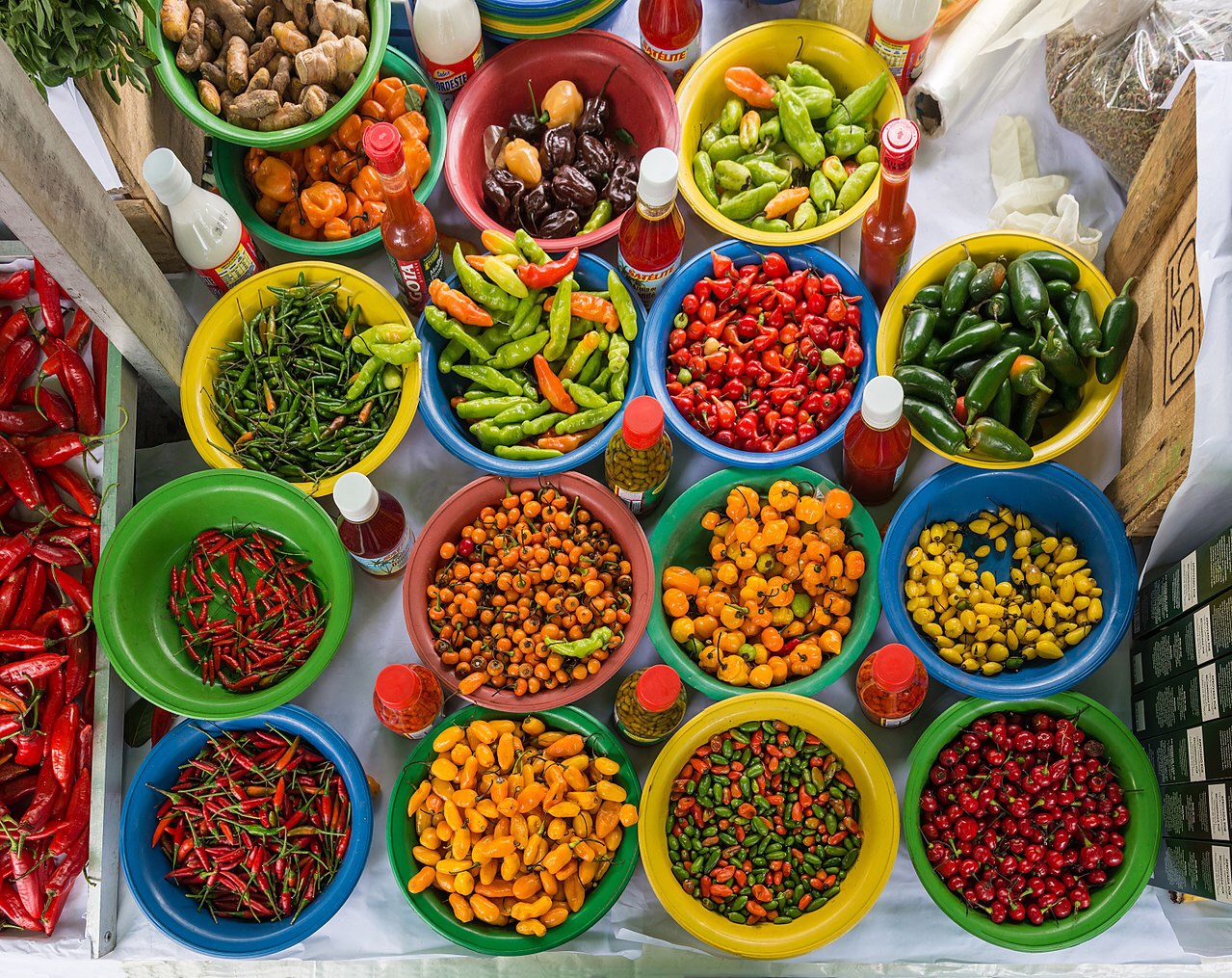 The Daily Dose: Food security in the Big Data era; Tackling obesity in South America