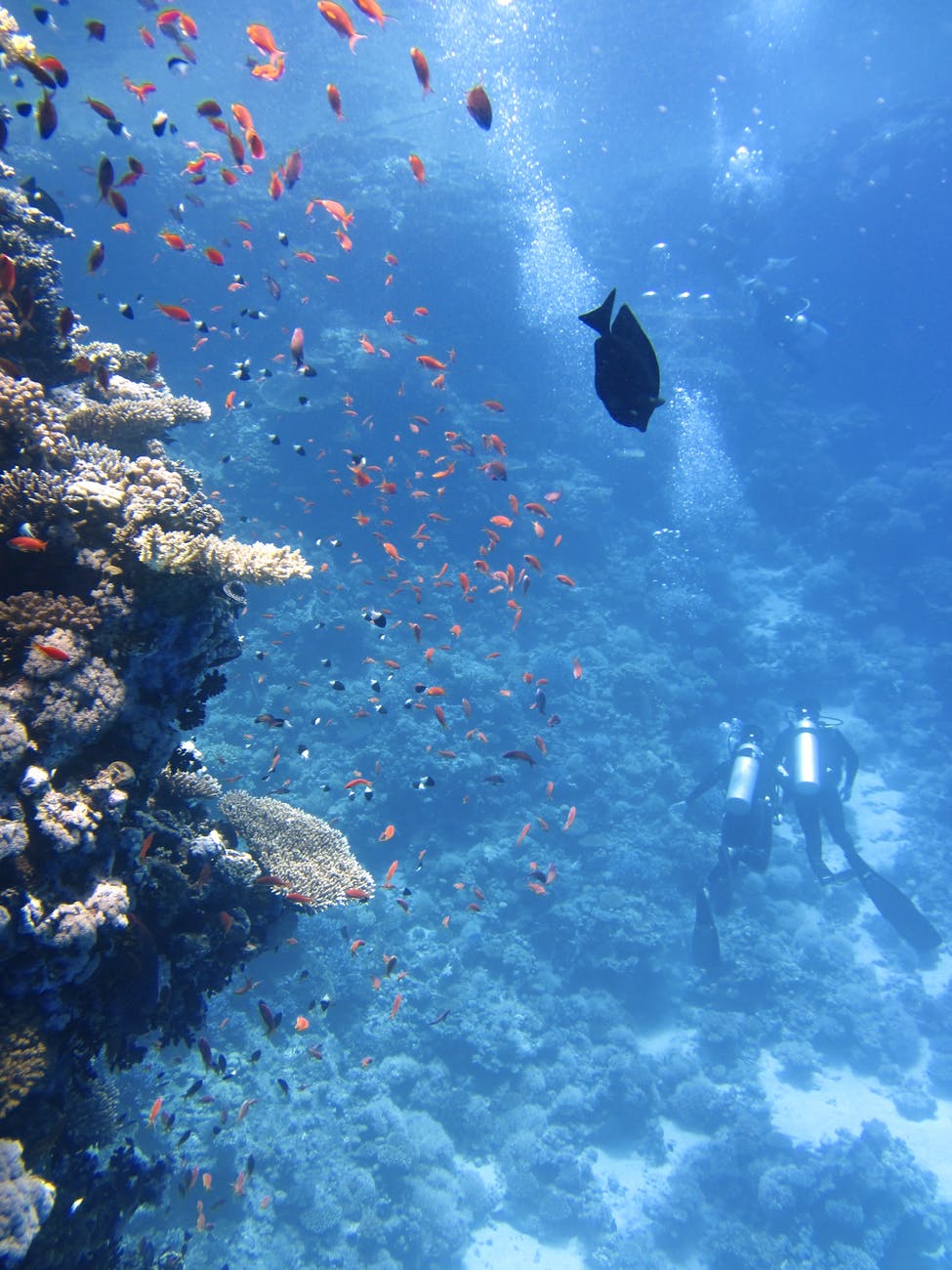 Burrows in the ocean floor served as a crucible of life millions of years ago