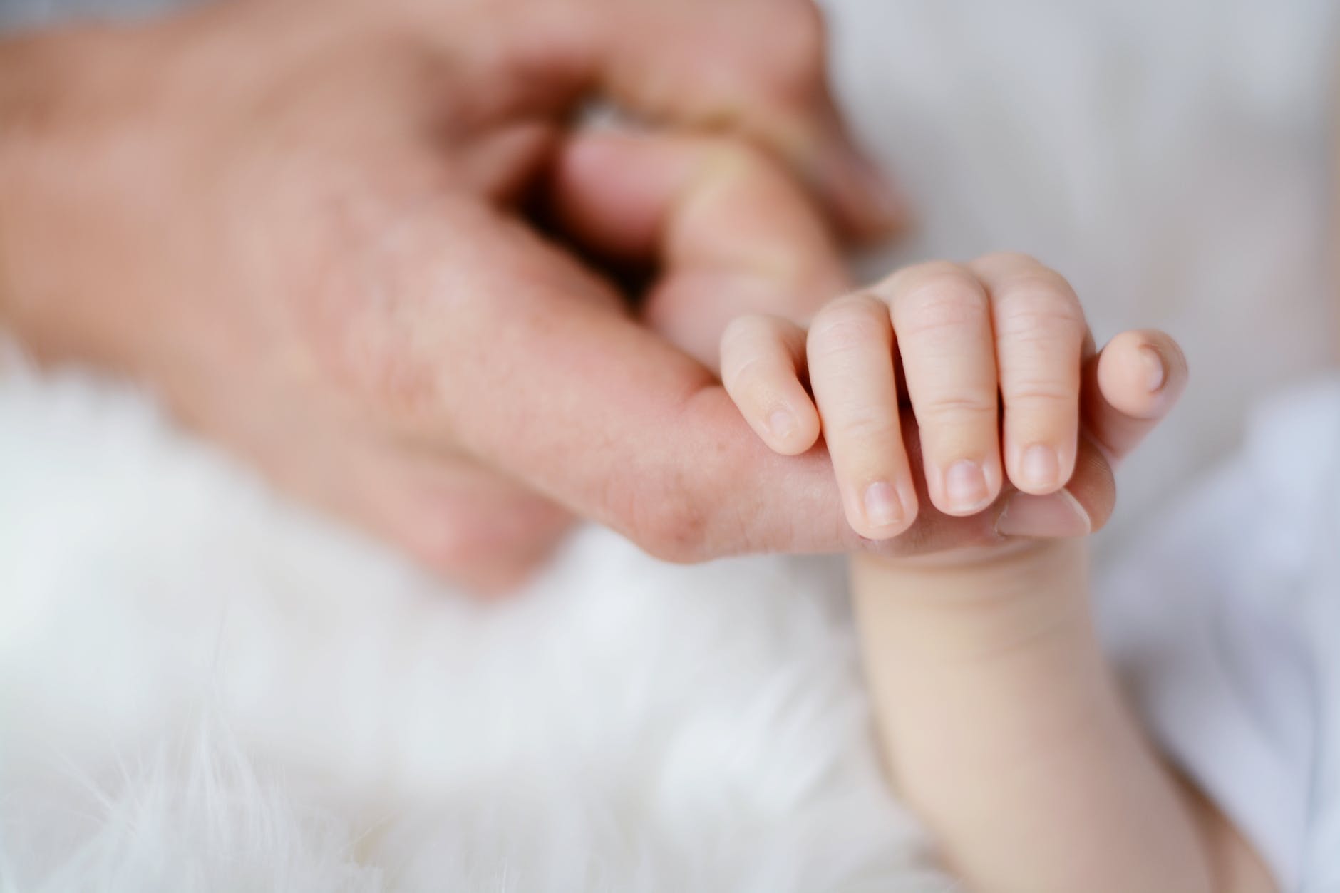 Infants in food insecure households risk obesity down the line