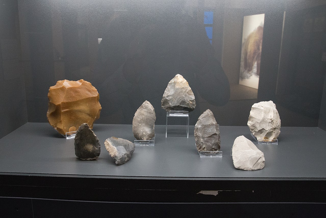 Neanderthals adapted to changing climates by altering their tools